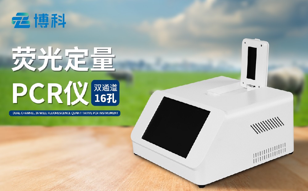 ��������pcr�������