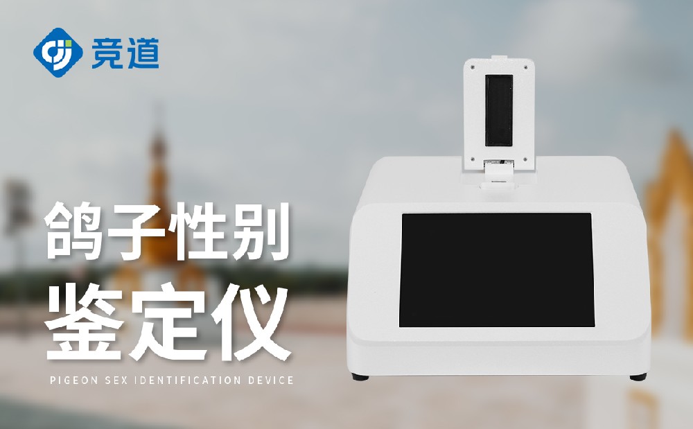 �����Ա�����