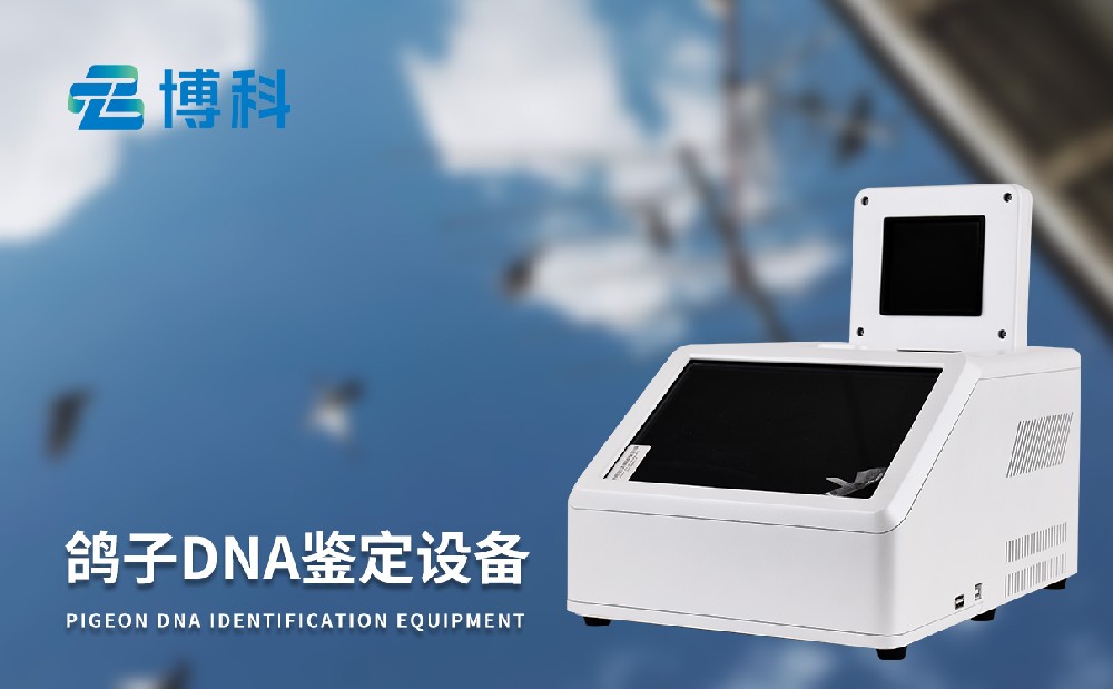 ����dna�������