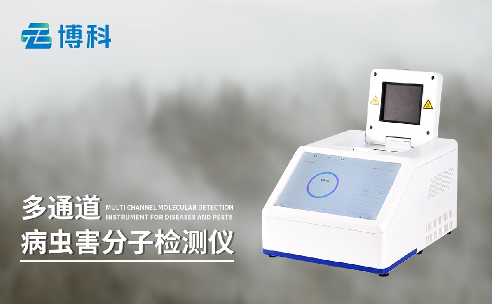 �ɲ��߳���Ӽ����