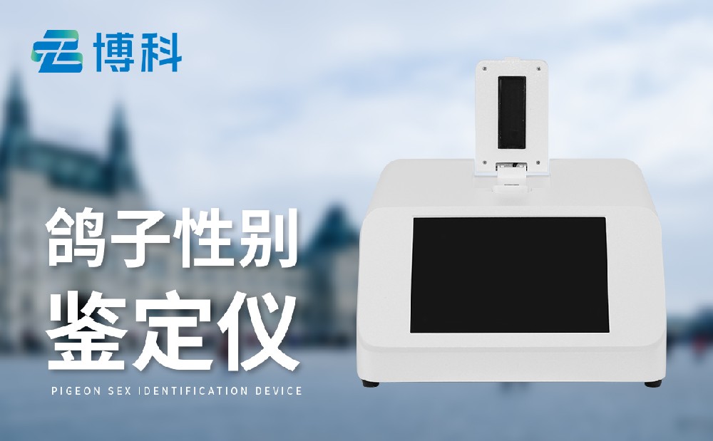 �����Ա�����