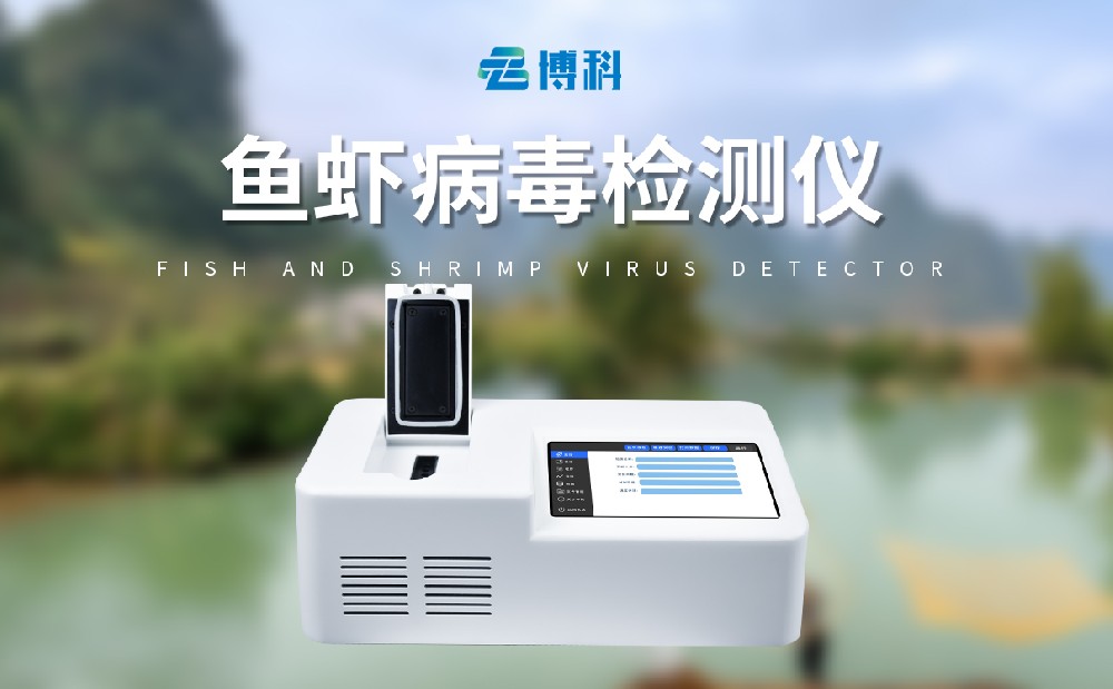 ��Ϻ���������